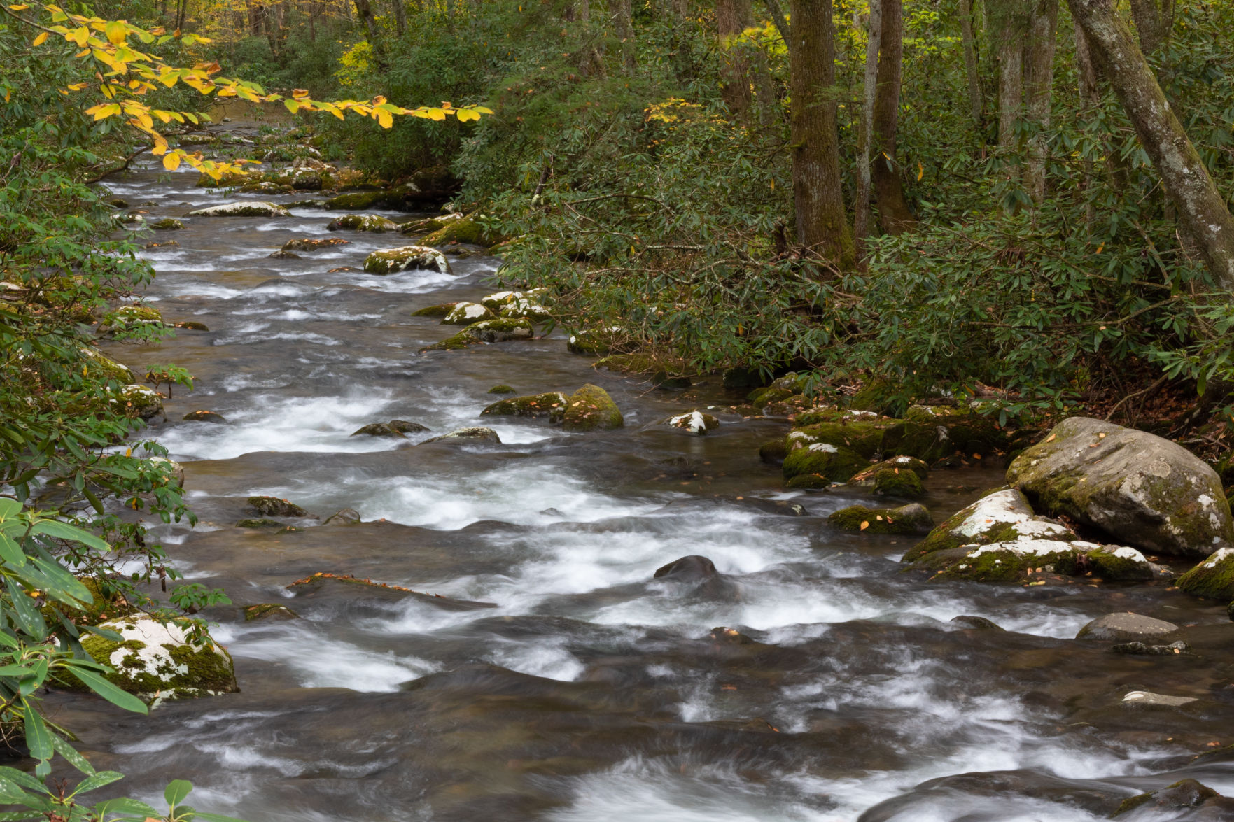 Stream